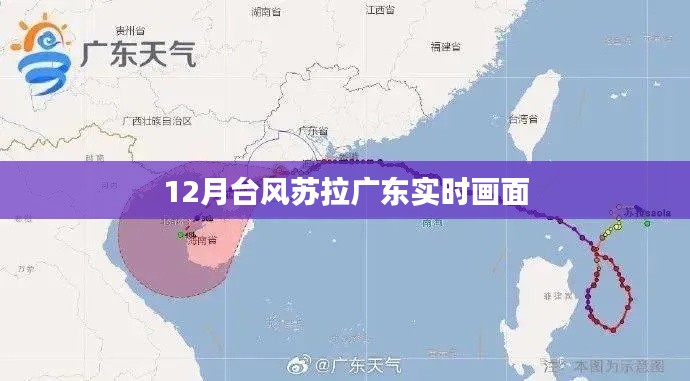 广东台风苏拉实时画面报道