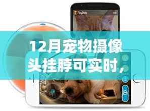 宠物摄像头挂脖实时监控,守护爱宠新时代
