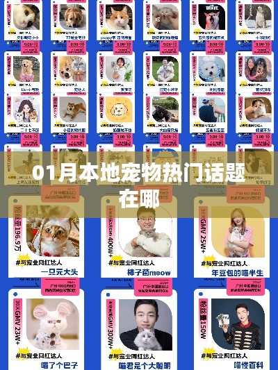 宠物热点话题一月份聚焦,本地宠物热门话题大盘点