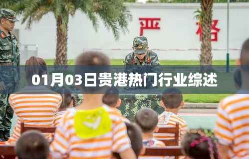 贵港热门行业最新综述,01月行业洞察