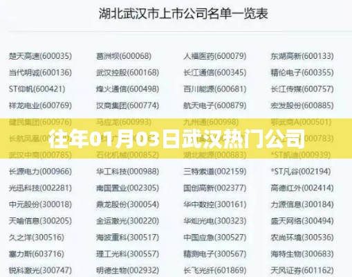 武汉公司热门动态回顾,历年一月初的企业风采