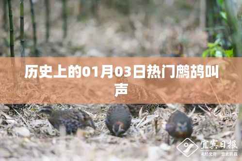 鹧鸪啼鸣日，历史上的今天回顾