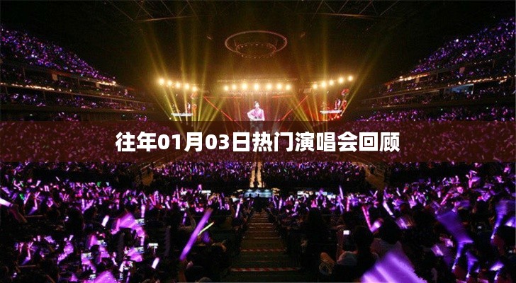 历年元旦演唱会回顾,星光璀璨之夜