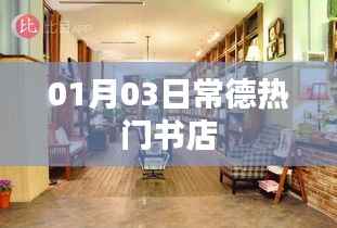 常德热门书店推荐,一月新书抢先看