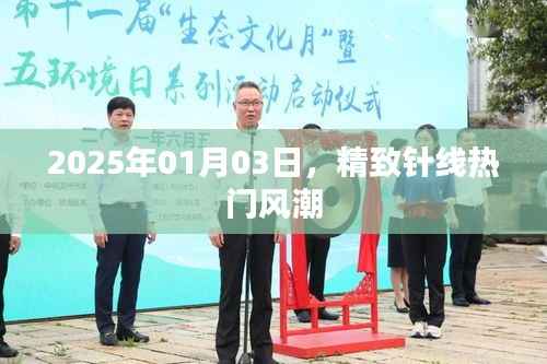 精致针线风潮席卷全球,2025年1月3日