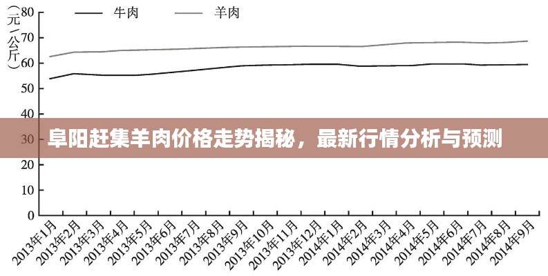 阜阳赶集羊肉价格走势揭秘,最新行情分析与预测