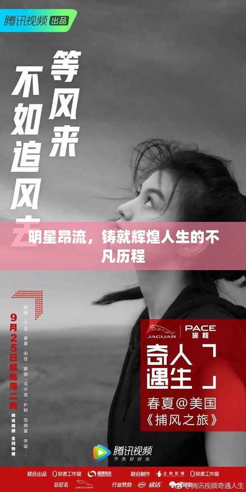 明星昂流,铸就辉煌人生的不凡历程