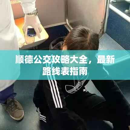 顺德公交攻略大全,最新路线表指南