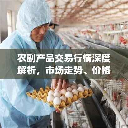 农副产品交易行情深度解析,市场走势、价格变动一网打尽!