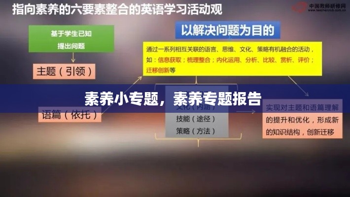 素养小专题,素养专题报告