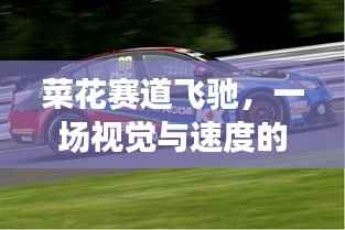 菜花赛道飞驰,一场视觉与速度的盛宴