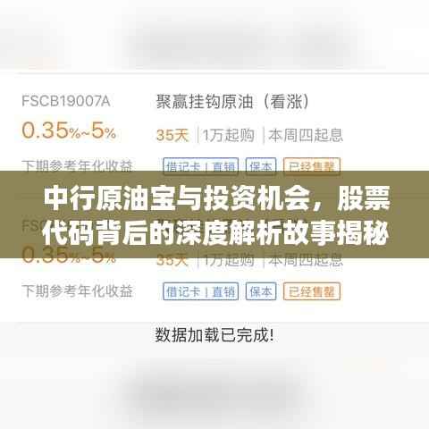 中行原油宝与投资机会,股票代码背后的深度解析故事揭秘