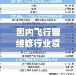 国内飞行器维修行业领军公司排名榜单揭晓!