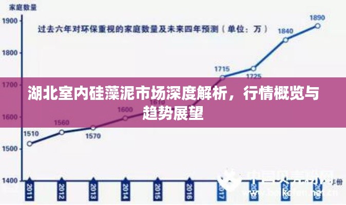 湖北室内硅藻泥市场深度解析,行情概览与趋势展望