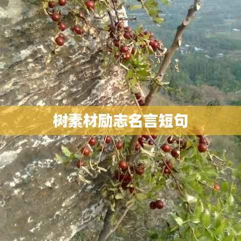 树素材励志名言短句