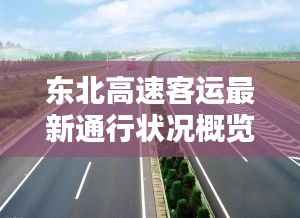 东北高速客运最新通行状况概览