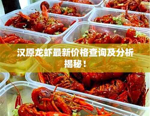 汉原龙虾最新价格查询及分析揭秘!