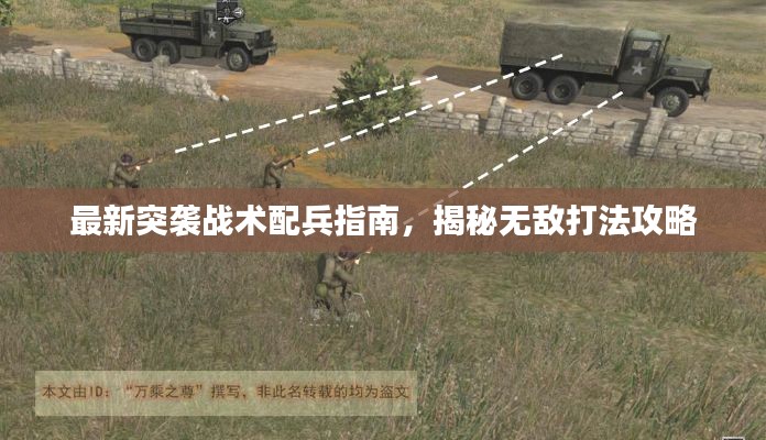 最新突袭战术配兵指南,揭秘无敌打法攻略