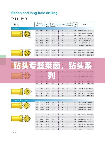 钻头专题莱茵,钻头系列