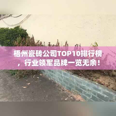 梧州瓷砖公司TOP10排行榜,行业领军品牌一览无余!