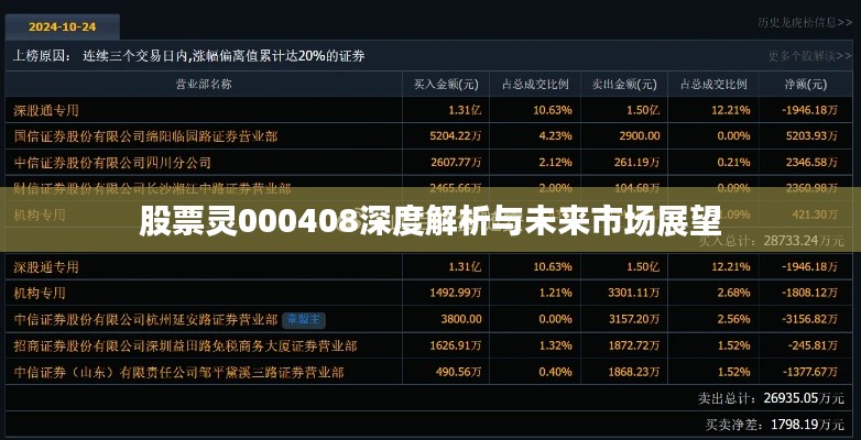 股票灵000408深度解析与未来市场展望