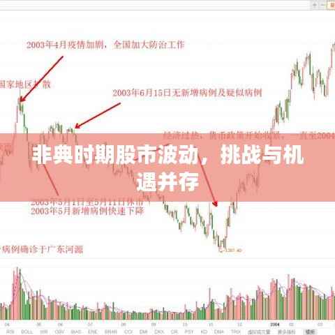 非典时期股市波动,挑战与机遇并存