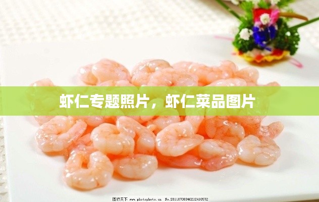 虾仁专题照片,虾仁菜品图片