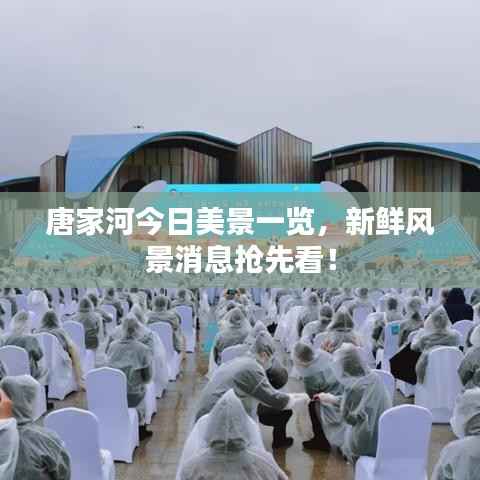 唐家河今日美景一览,新鲜风景消息抢先看!