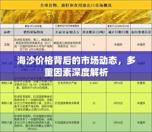 海沙价格背后的市场动态，多重因素深度解析