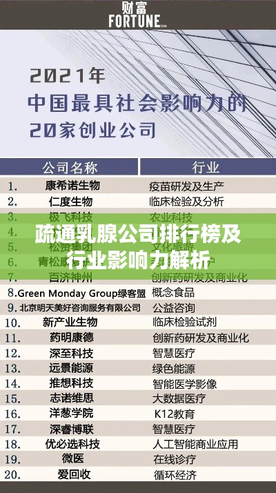 疏通乳腺公司排行榜及行业影响力解析