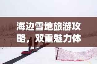 海边雪地旅游攻略,双重魅力体验,尽享海滨与雪景的乐趣!