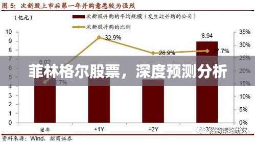 菲林格尔股票,深度预测分析